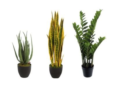 PLANTA PEQUEÑA CON MACETA