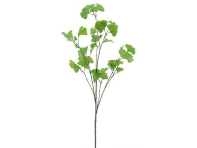 RAMAS