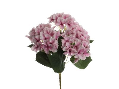 RAMO REDONDO HORTENSIA