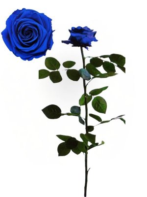 foto producto